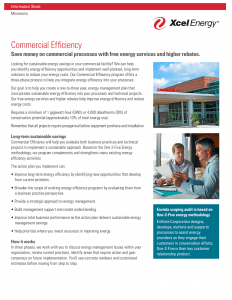 Xcel Energy Commercial Efficiency