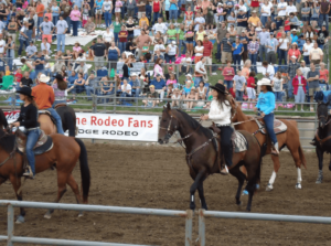 Hamel Rode Minnesota