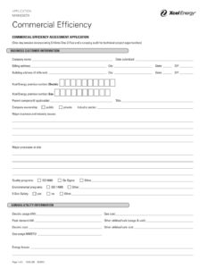 MN Bus Process Commercial Efficiency Assessment App Phase1 pdf