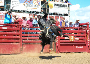 Randahl Construction Inc Hamel Rodeo