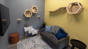 Commercial Remodeling Contractor Burnsville MN